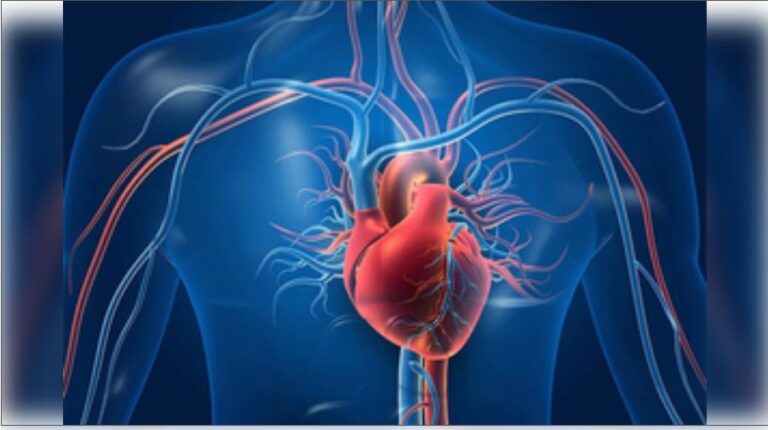 ज्यादा समय तक बैठना दिल के लिए खतरनाक, अमेरिकी अध्ययन ने बढ़ाई टेंशन