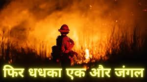 लॉस एंजिल्स के पास फिर भड़की जंगल की आग, 31000 लोगों को घर छोड़कर जाने के आदेश