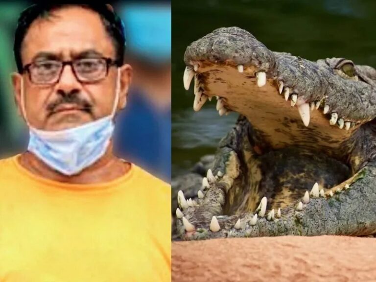 अस्पताल में फरिश्ता, जंगल में राक्षस… 50 हत्याओं का मास्टरमाइंड ‘डॉक्टर डेथ’ गिरफ्तार, मगरमच्छों को खिलाता था लाशें