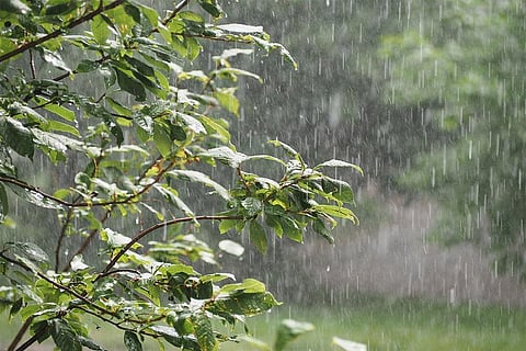 झारखंड में 24 जून तक होगी बारिश