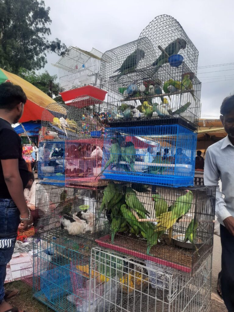 जगन्नाथपुर मेले में उमड़ी श्रद्धालुओं की भीड़, पारंपरिक और गृहपयोगी चीजों की जमकर खरीदारी