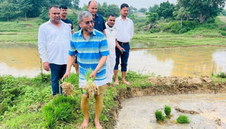 बाबूलाल मरांडी ने अपने खेत में की धान रोपनी