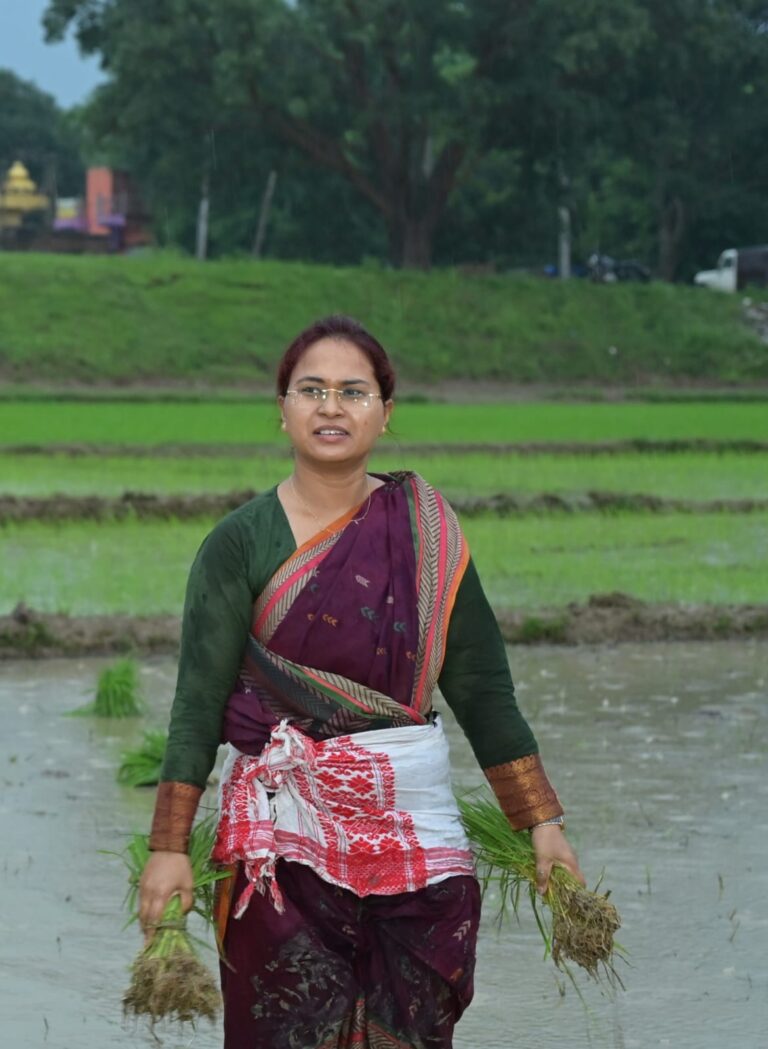 कृषि मंत्री शिल्पी नेहा तिर्की ने चान्हो के रघुनाथपुर में महिलाओं के साथ की धान रोपनी