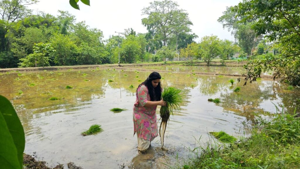 पलामू एसपी ने की धान रोपनी, खेतों में गूंजे पारंपरिक गीत