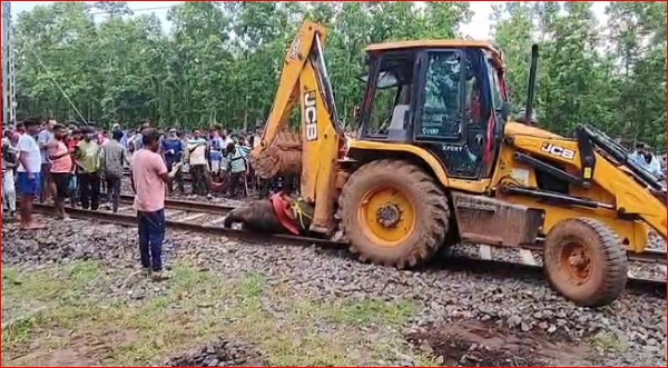 झारखंड सीमा से सटे झाड़ग्राम में ट्रेन की चपेट में आने से तीन हाथियों की मौत