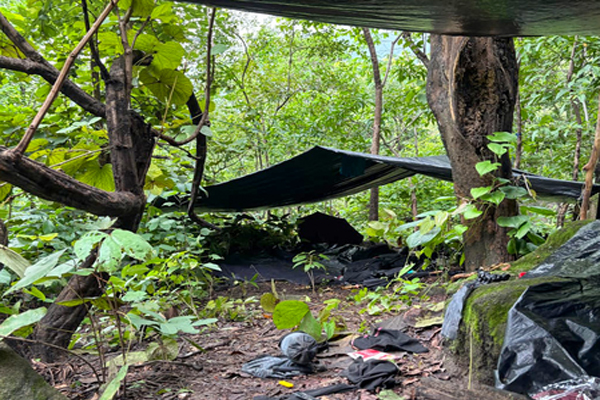 झारखंड के गुमला में पुलिस और सुरक्षा बलों के साथ मुठभेड़ में तीन नक्सली ढेर, दो पांच-पांच लाख के इनामी