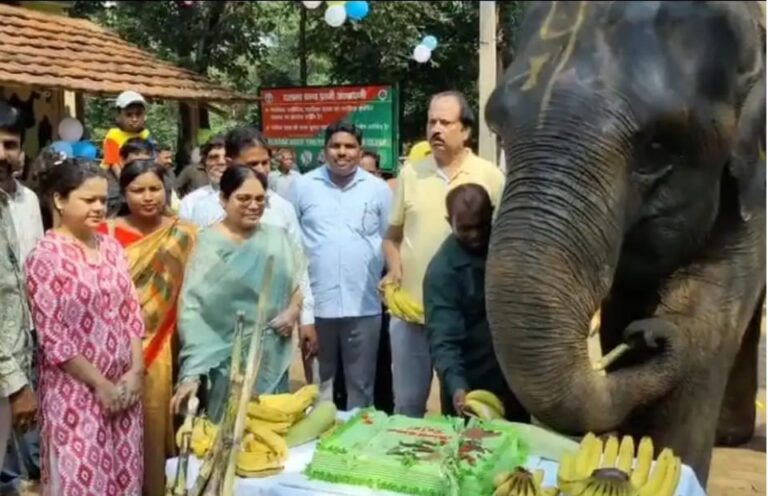 दलमा की शान ‘रजनी’ का हर्षोल्लास के साथ मनाया गया 16वां जन्मदिन