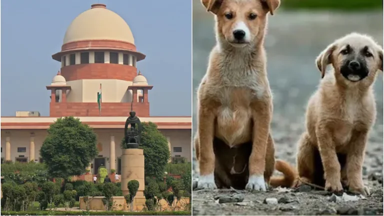 स्कूलों, अस्पतालों और सार्वजनिक स्थलों से आवारा कुत्तों को हटाकर शेल्टर होम में रखा जाए, SC ने सभी राज्यों को दिया निर्देश