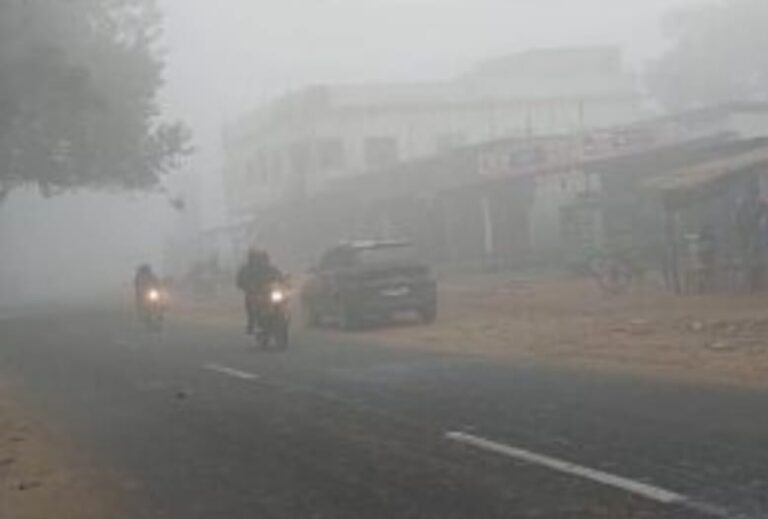 रामगढ़ः NH-33 पर हाथियों का आतंक, आवागमन घंटों बाधित