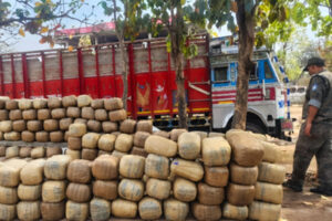 झारखंडः भूसे की आड़ में नशा तस्करी, ट्रक से 2 करोड़ का गांजा बरामद