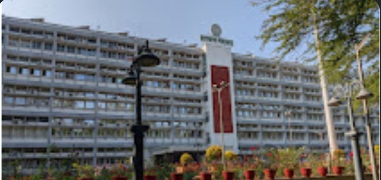 जंगली जानवरों के हमले में मौत पर अब 10 लाख मुआवजा, झारखंड कैबिनेट ने 23 प्रस्तावों को दी मंजूरी