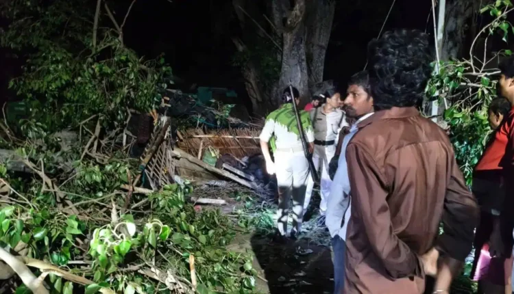 सीतामढ़ी में आंधी के दौरान कच्चे मकान पर गिरा पीपल का पेड़, एक परिवार के पांच लोगों की मौत
