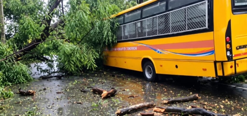 रांची में स्कूल बस पर गिरा पेड़, बाल-बाल बचे बच्चे