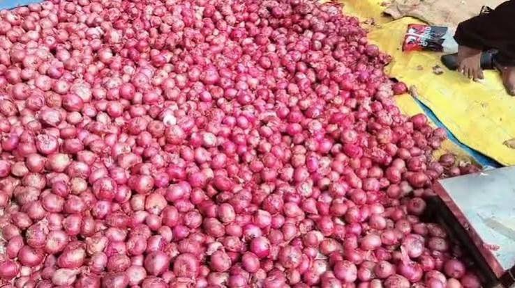 प्याज की कीमतों में बड़ी गिरावट